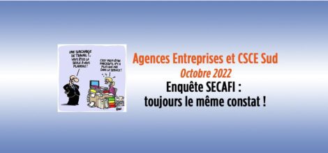 ENQUETE SECAFI agences entreprises