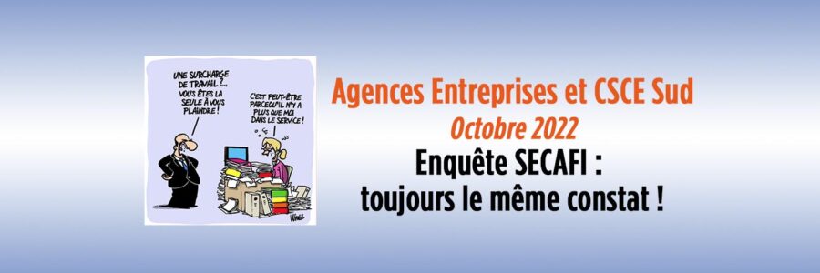 Agence Entreprise : Enquête SECAFI – Toujours le même constat !