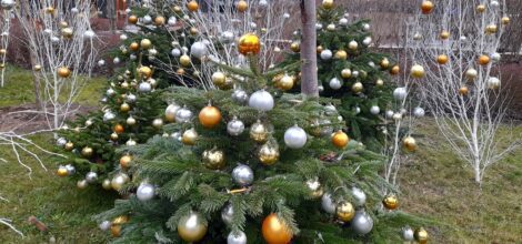 Décorations à Orange Gardens