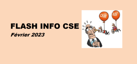 Flash info CSE DO GSE