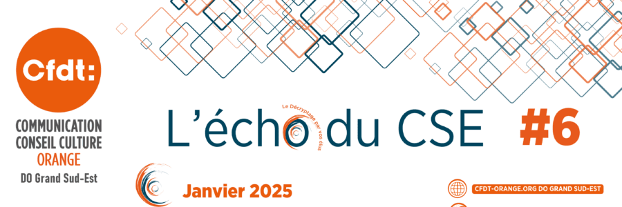 L’ECHO DU CSE 6  DO Grand Sud-Est