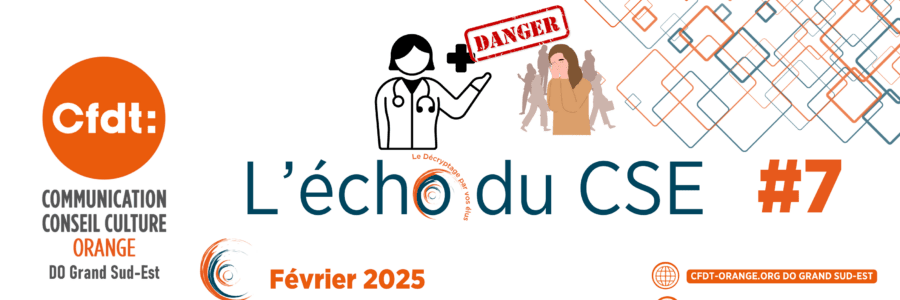 L’ECHO DU CSE 7  DO Grand Sud Est