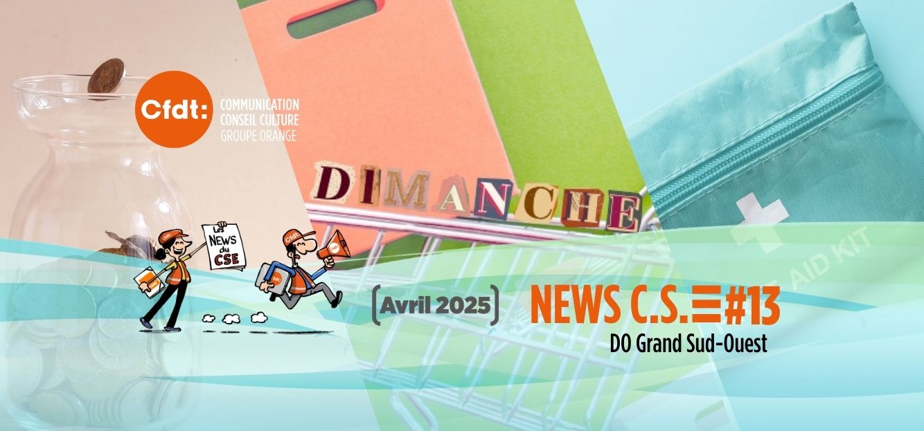 LES NEWS DU CSE 13 DOGSO