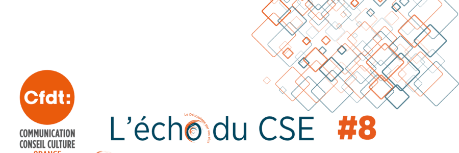 L’ECHO DU CSE 8 DO Grand Sud Est