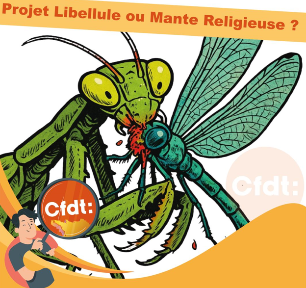 Projet Libellule ou Mante Religieuse ?