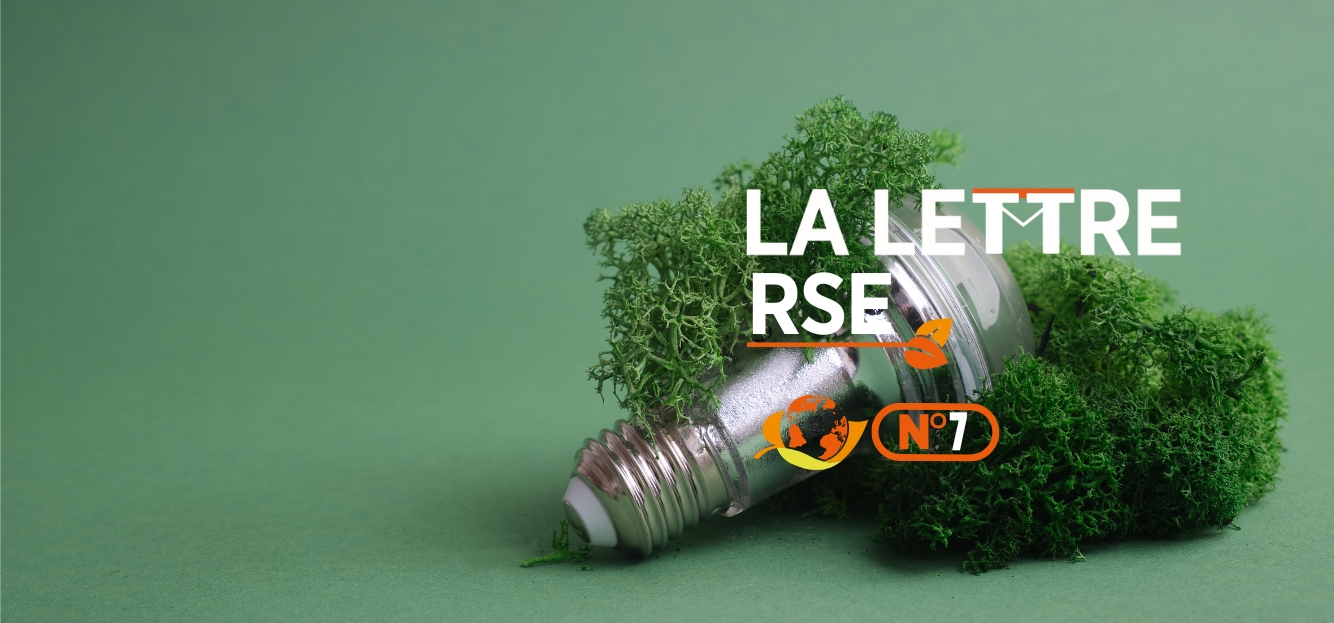 <strong>La lettre RSE N°7 La transition écologique : un impératif syndical et social !</strong>