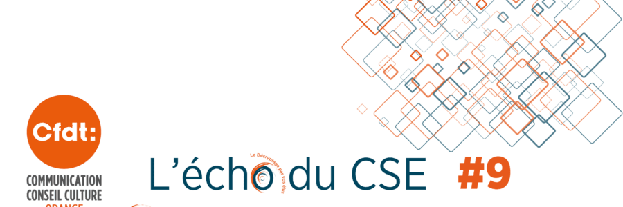 L’ECHO DU CSE 9 CFDT DO Grand Sud Est