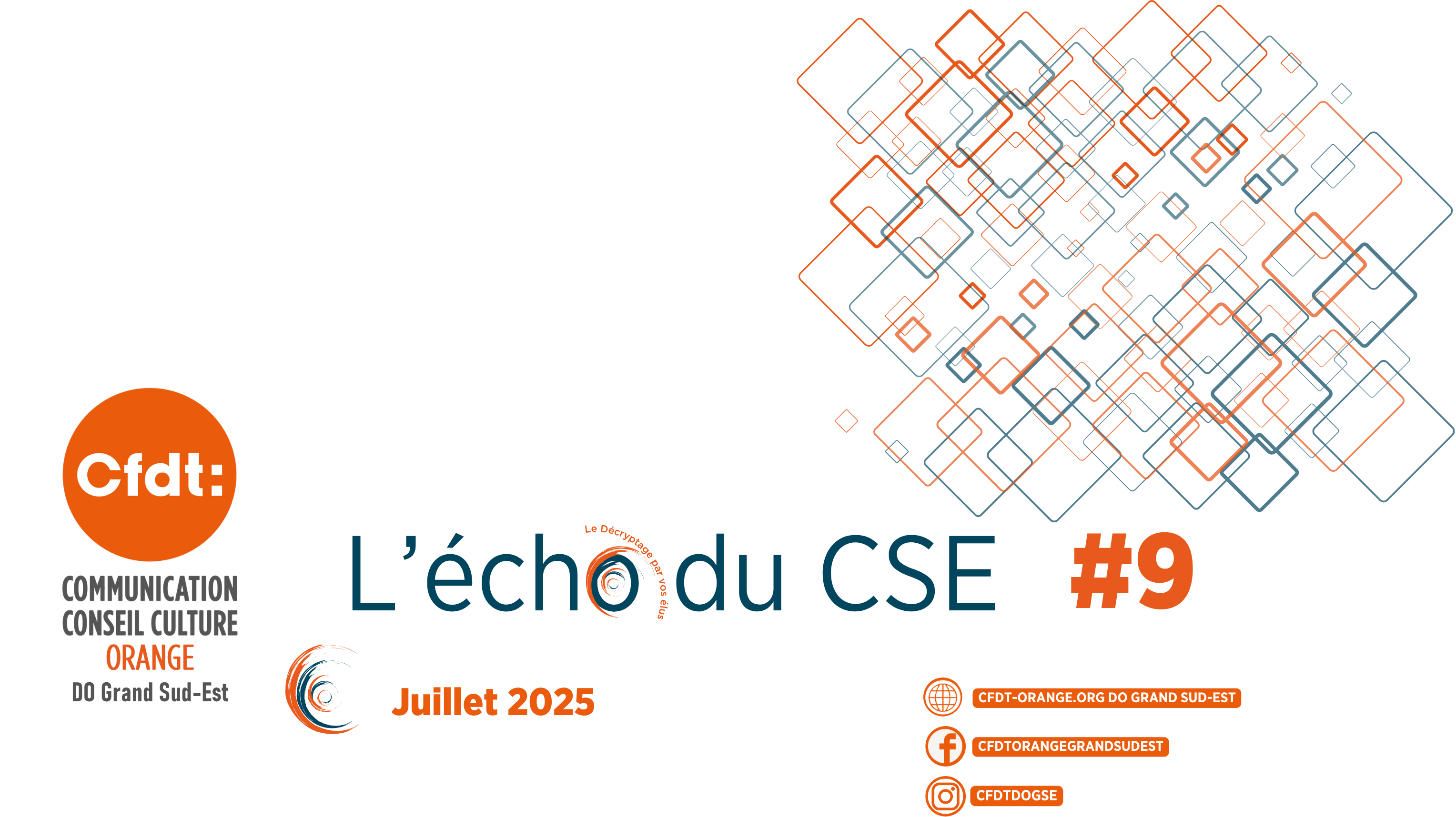 Juillet2025-L'ECHO DU CSE #9-Papripact-Agence Distribution-Insécurité-Parnasse-Prestation noel