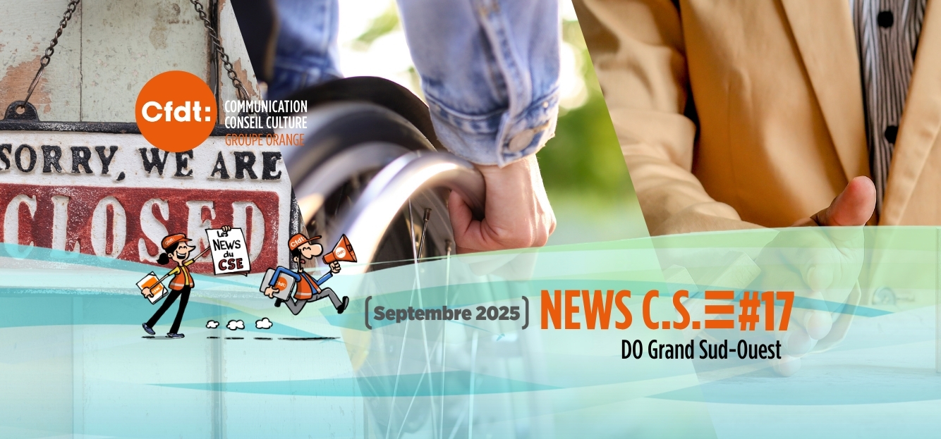 Les news cse dogso 17