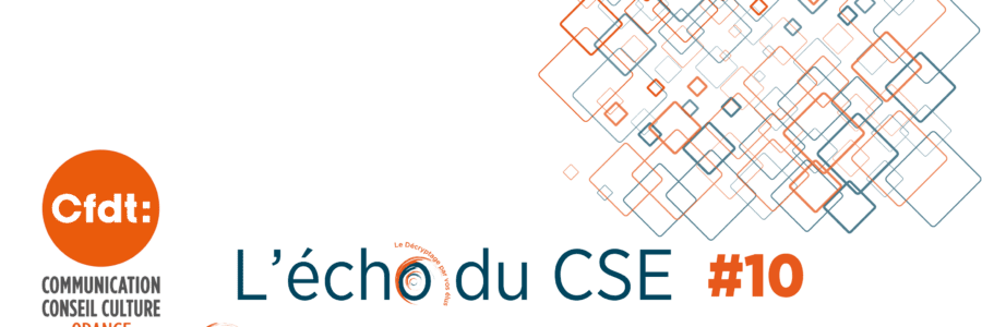 L’ECHO DU CSE 10 DO Grand Sud Est