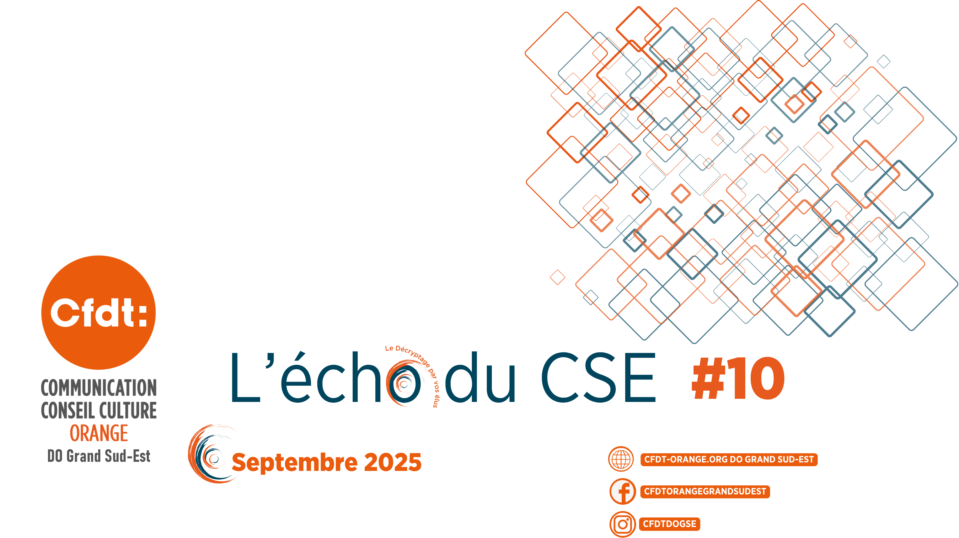 L’ECHO DU CSE 10 DO Grand Sud Est
