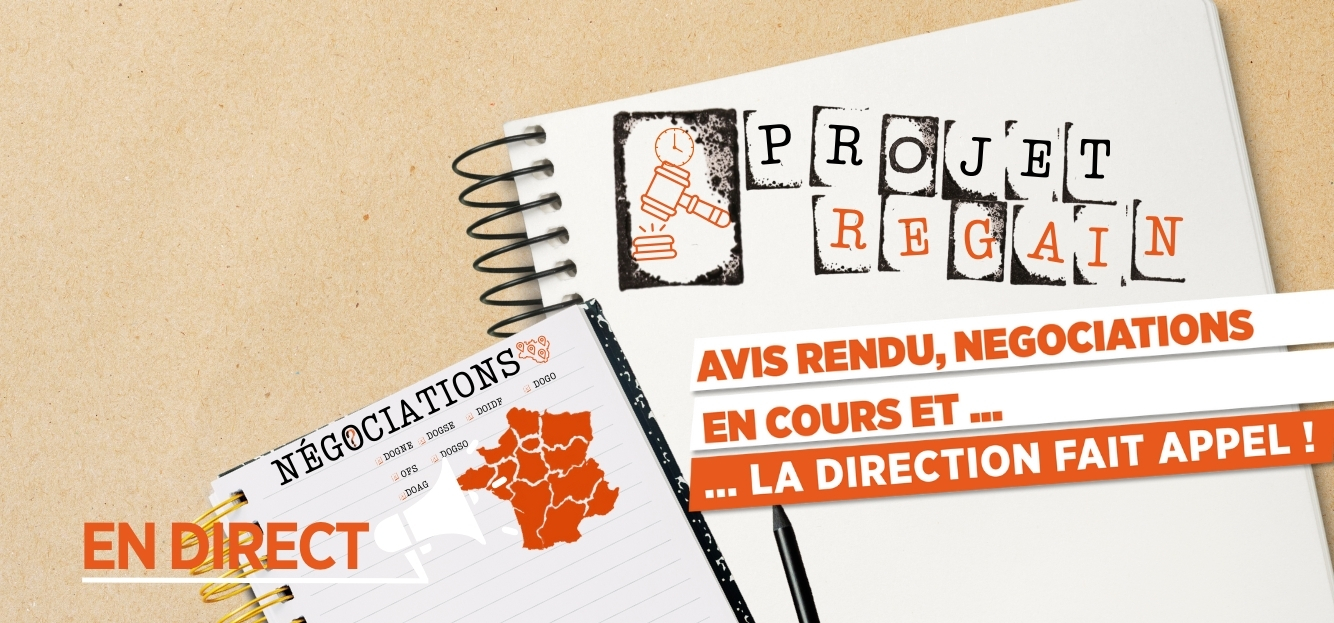 <strong>PROJET REGAIN</strong>